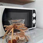 In Mit Grill By Interhome Apartment Vodice